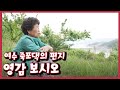 [남도지오그래피] 영감 보시오, 여수 죽포댁의 편지｜KBS 220518 방송