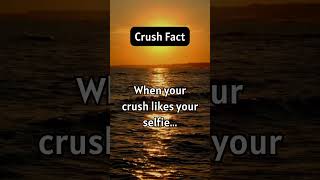 CRUSH FACT #1