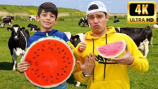 Jason Vlogs ke Peternakan 🍎 Belajar Buah & Melihat Hewan | Video Anak Seru