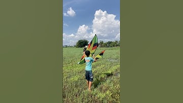 Thả diều sáo 2m cõng 2 bộ sáo 5 quả chiến gió bão độc lạ Bình Dương #kite #kiteflying #shorts