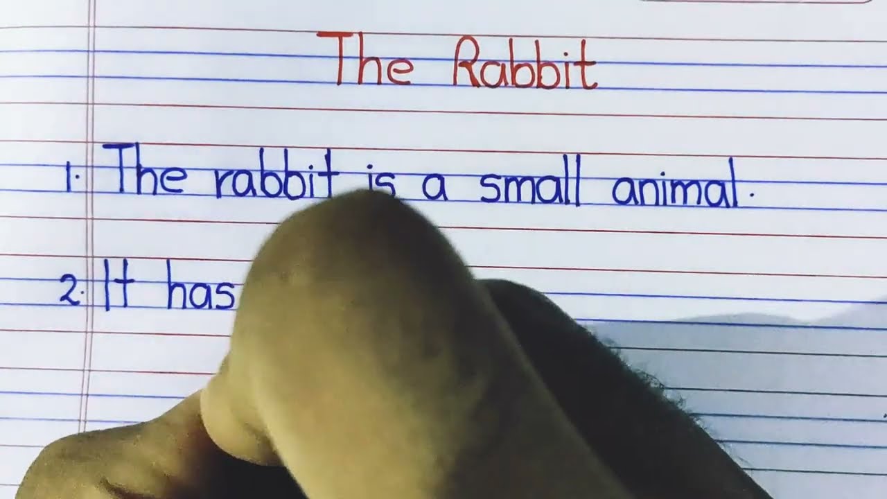 essay on rabbit || rabbit essay in english || few lines on rabbit || infinite alpha ||