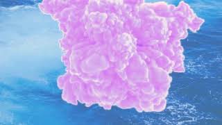 Kirby Bright & Mt. Analogue - Neptune Profile