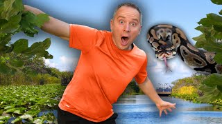 We Hunted Pythons in the Everglades… Here’s What Happened