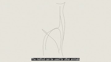 The Art of Touch-n-Curl: Designing Curvilinear Sculptures via Interlocking 3D Printed Zippers