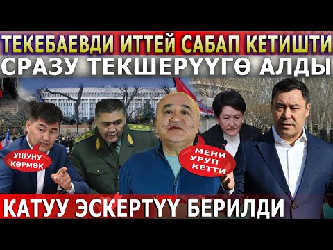 Video: Италия курама командасынын жаңы башкы машыктыруучусу болуп ким дайындалды?