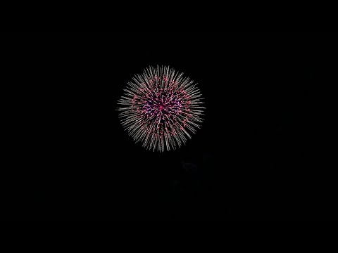 10号(尺玉)  昇り朴付 八重芯金カムロ