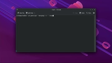 Steam + Gamescope + Linux = SteamOS mode!