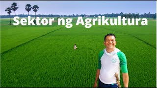 Sektor ng Agrikultura: Isang Pag-aaral
