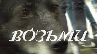 Социальная программа - Не покупай, возьми из приюта Социальная программа - Не покупай, возьми из приюта