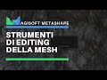 Agisoft Metashape - Strumenti per l'editing della mesh