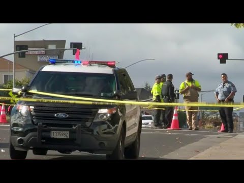Suspect Dies After Struggle With Deputies On El Camino Real In Millbrae