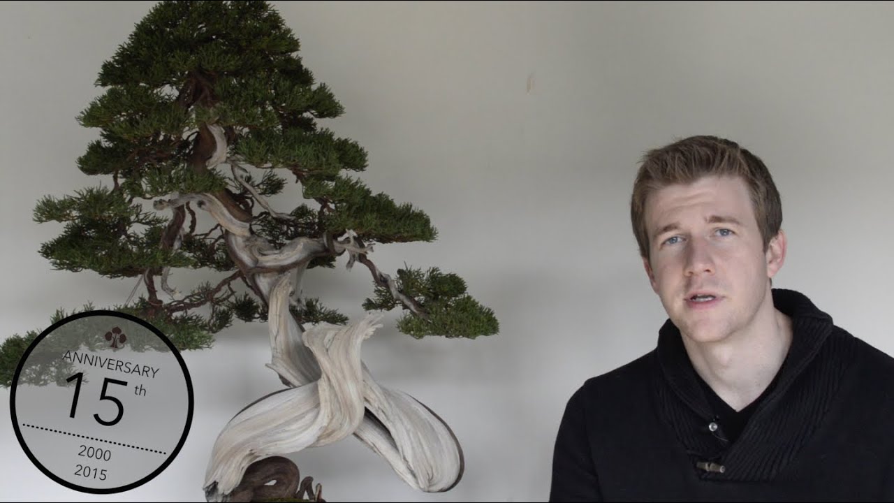 Bonsai substrate, Bjorn Bjorholm YouTube
