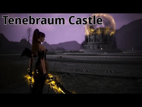 BDO Tenebraum Castle Awakening Lahn 13 9k Lv2