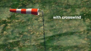 Landing On Windsock