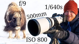 OM System OM-1 &amp; M.Zuiko 150-400mm f/4.5 | Wildlife Photography