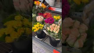 #shopping #beautiful #colourful #flowers #lidl #supermarket #shorts 🛒🌺