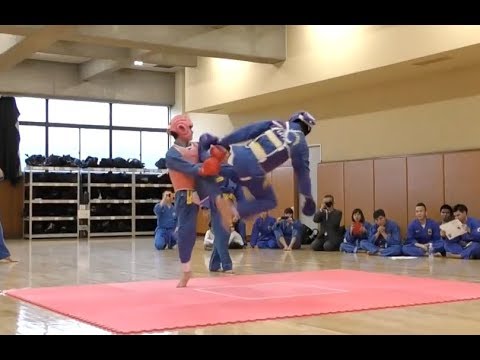 ボビナム PART25 VOVINAM ベトナム総合武術