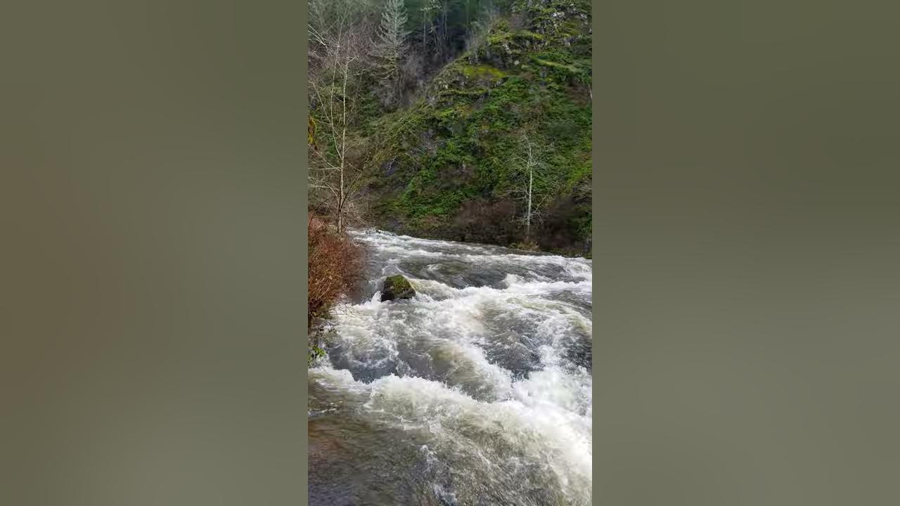 Willamina Creek Falls YouTube