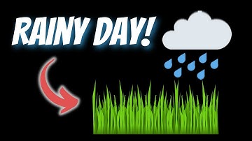 How do you approach a rainy day of cutting grass for your lawn care business?