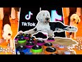 What TikTok’s Bunny the Talking Dog Is Teaching Us