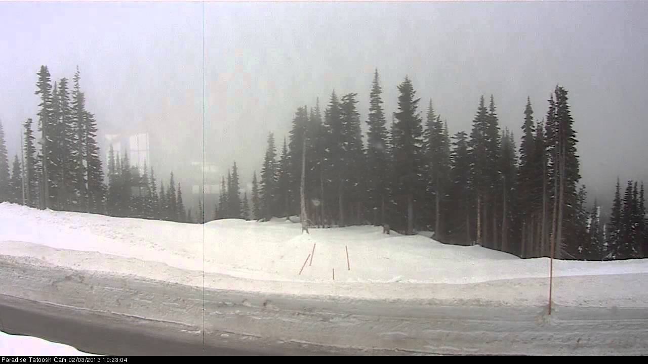 Timelapse from webcam at Mount Rainier National Park, Mt Tatoosh, 2013