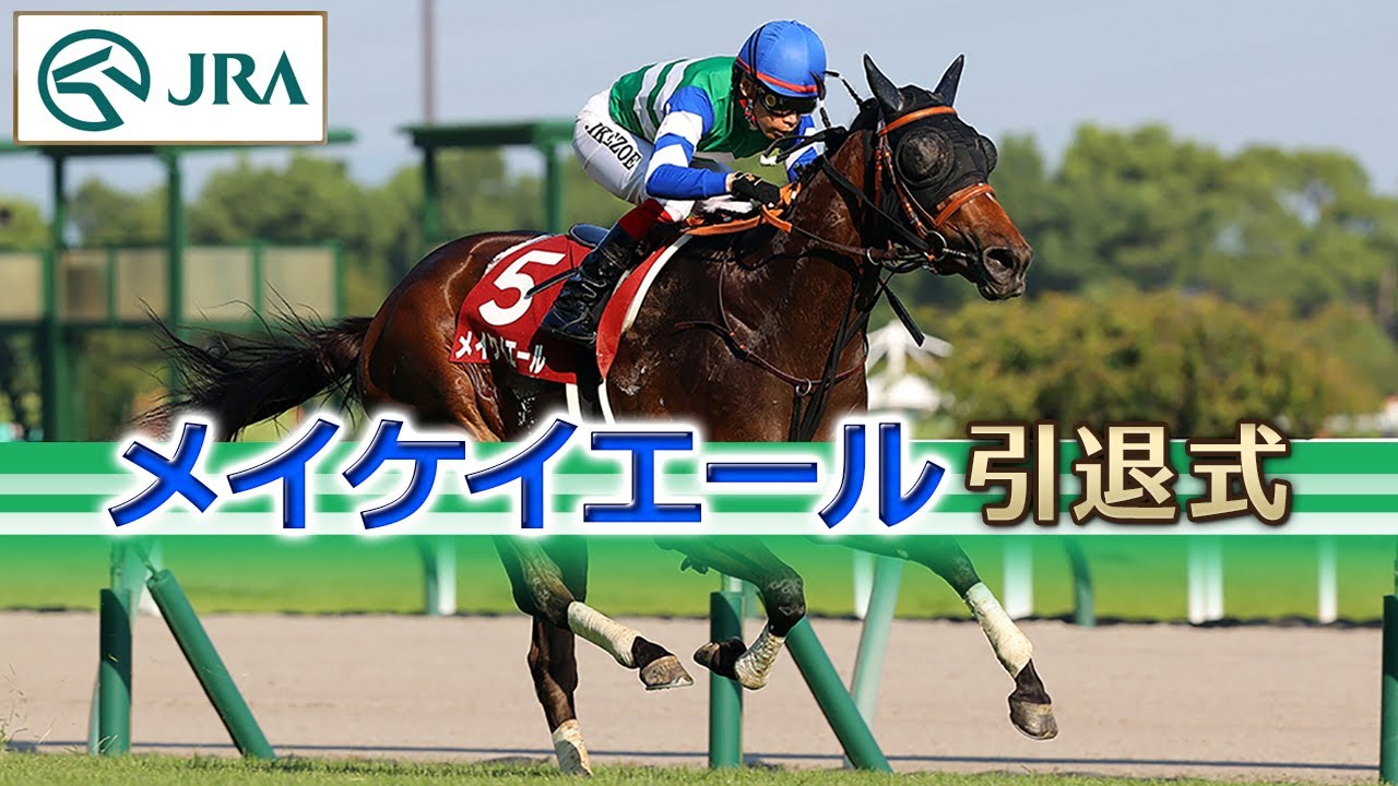 メイケイエール - Meikei Yell - 競走馬データベース | 競馬ラボ