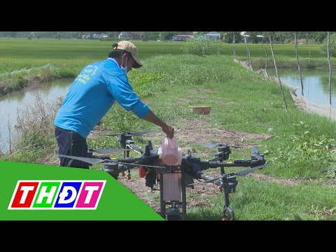 Video Thanh Bình, Đồng Tháp: Nông dân ứng dụng phun thuốc... - youtube