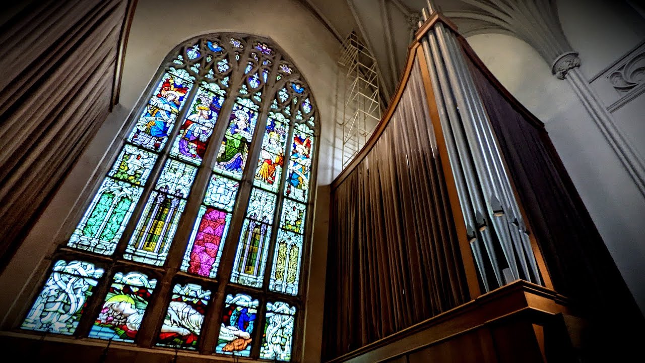 Image 15