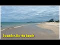 Swandor.On the beach