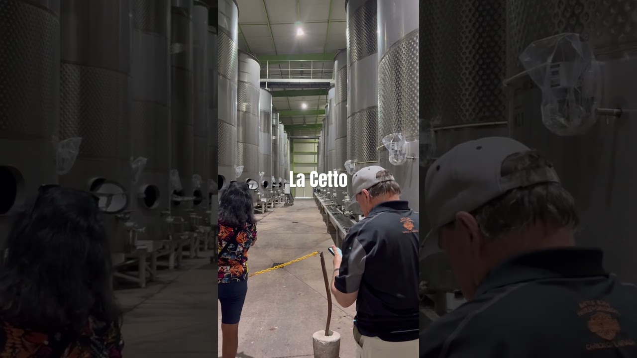 La Cetto Wine Storage Factory 