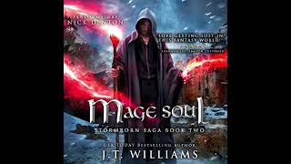 Mage Soul (Stormborn Saga #2) [Complete and Unabridged] screenshot 5