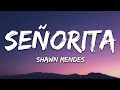 Shawn Mendes, Camila Cabello - Señorita (Lyrics)  cover type