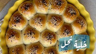 خلية نحل  | سناب ١٥ ثانية