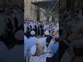 Musical Hallel By The Kosel With Rav Shmuel Eliyahu From Tzfas 