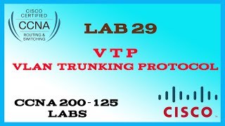 29 - VTP (VLAN Trunking Protocol)
