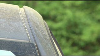 Allergies and pollen in Augusta could be worse this year, an expert says