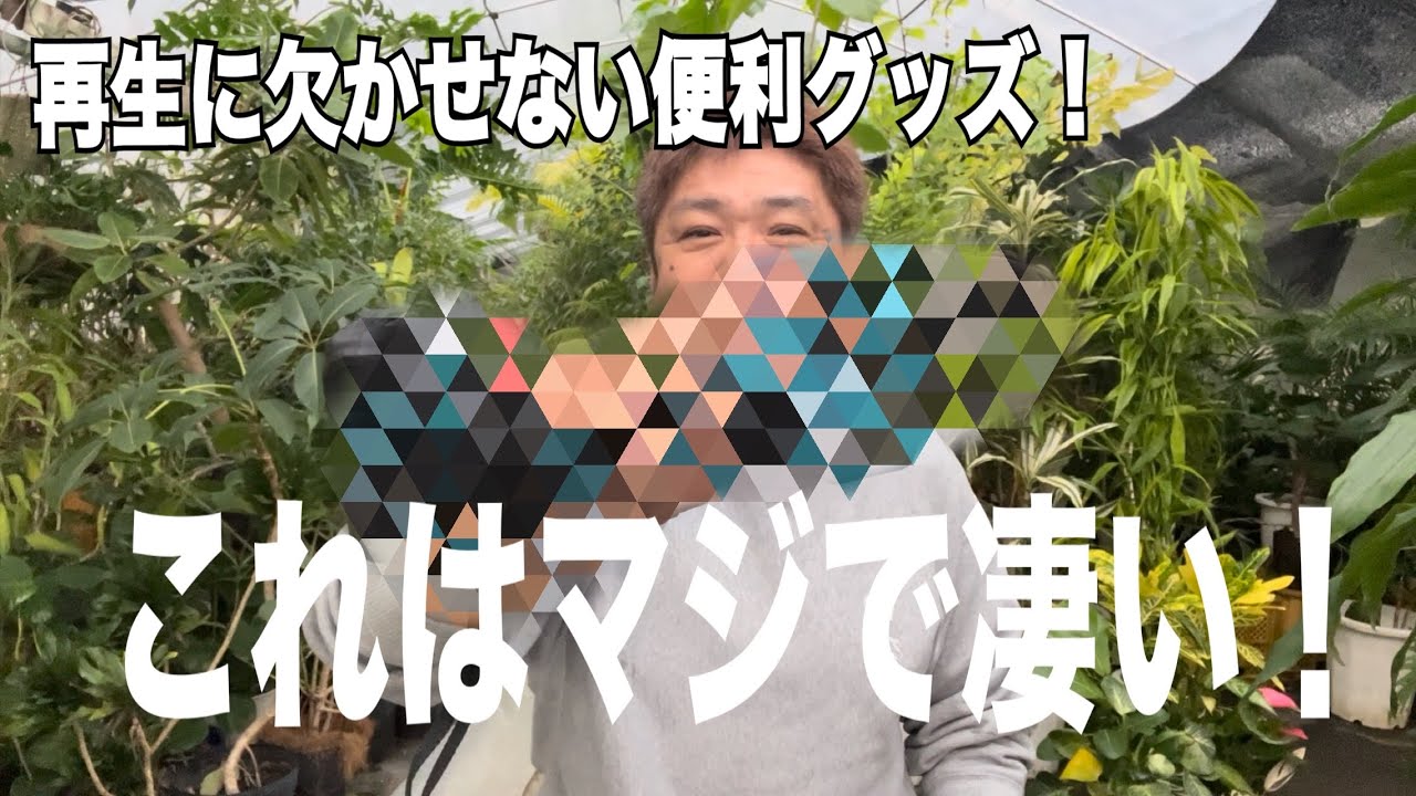 これは本当に凄いです！