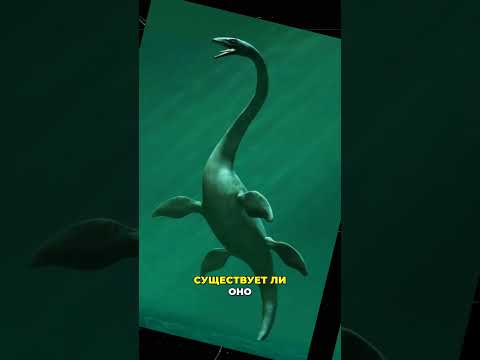 СЕКРЕТЫ ЗАГАДОЧНЫХ МЕСТ Ч.1 🌍