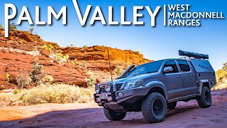 Download Lagu 🌴 Palm Valley – Australia’s Desert Oasis | Finke Gorge National Park MP3