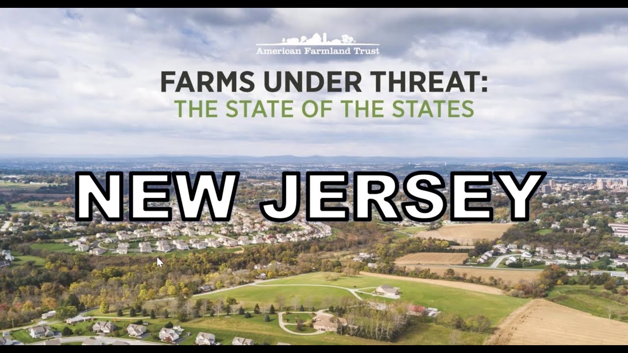 Where Does New Jersey Stand? Findings from AFT's 