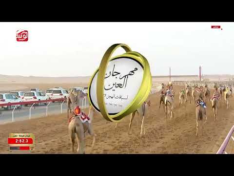 الشوط 5 سياف ل مبارك محمد ثاني بن قطامي السويدي 6 05 48 مهرجان العين للهجن 2025 9 16 إيذاع الروضة