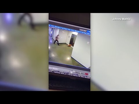 Caught on camera: Texas man rescues dog from elevator doors