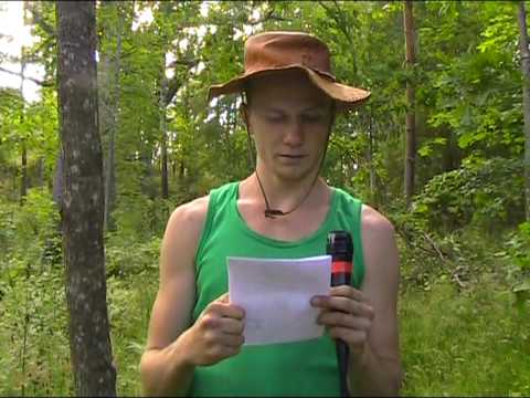 Bild från NATUR - OSKAR #3 (kvicksand, blommor, bär, bärfisar, träd, fisk, flygfisk)