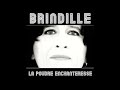 La poudre enchanteresse  brindille