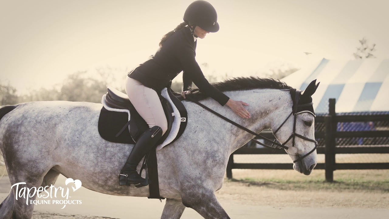 Tapestry Comfort Girth Promo Video 1 YouTube