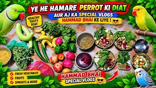YE HE HAMARE PERROTS KI DIAT AUR AJ KA VLOGS HAMMAD BHAI KE LIYE 😎