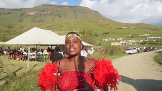 Ingoma Yephasika Empendle Kuyadula Ukuba Insizwa amabutho umbumbulu