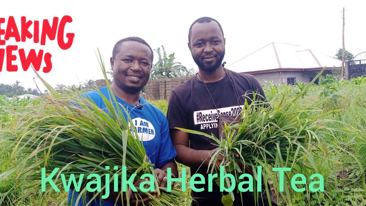 Познакомьтесь с камерунским предпринимателем, который перерабатывает лемонграсс (лимонник) в удоб...