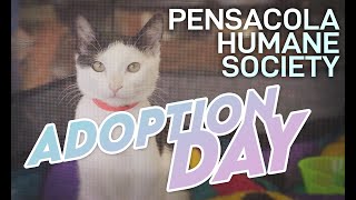 Pensacola Humane Society Pet Adoption at Cadillac Pensacola