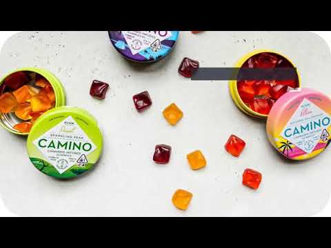 Vitadreamz Gummies Review Contentcreator Magnesium Cbd Reishimushroom Ashwagandha